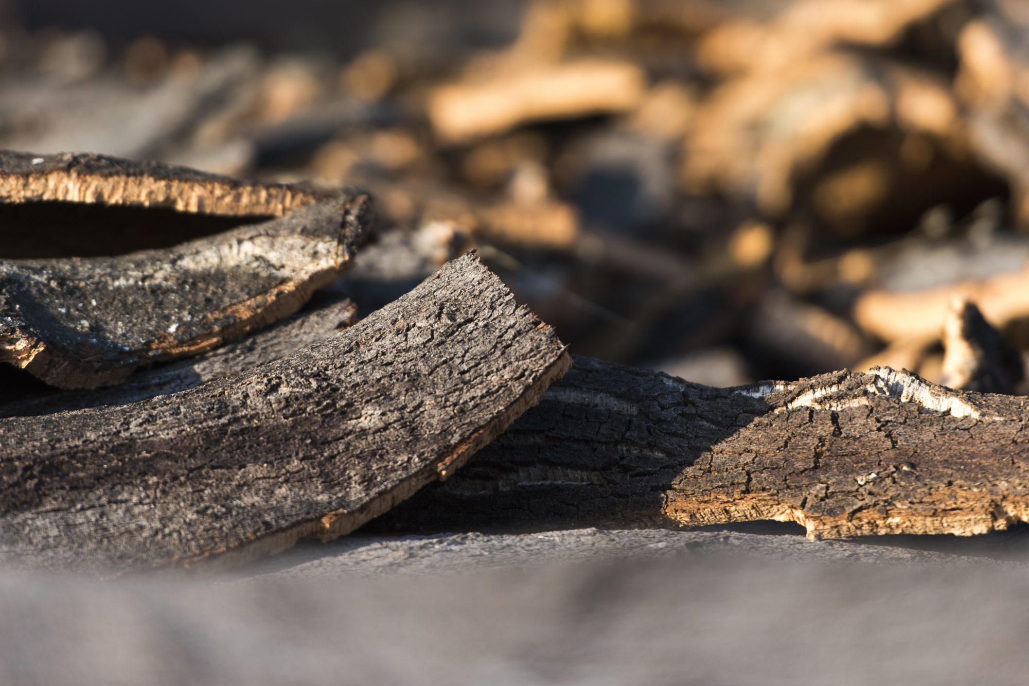 Natural cork planks