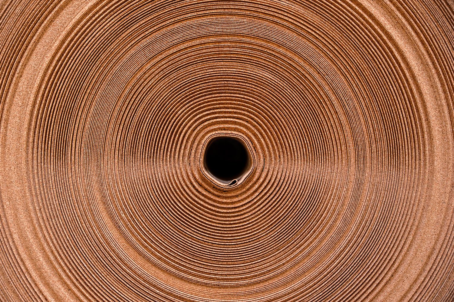 Roll of thin cork sheet