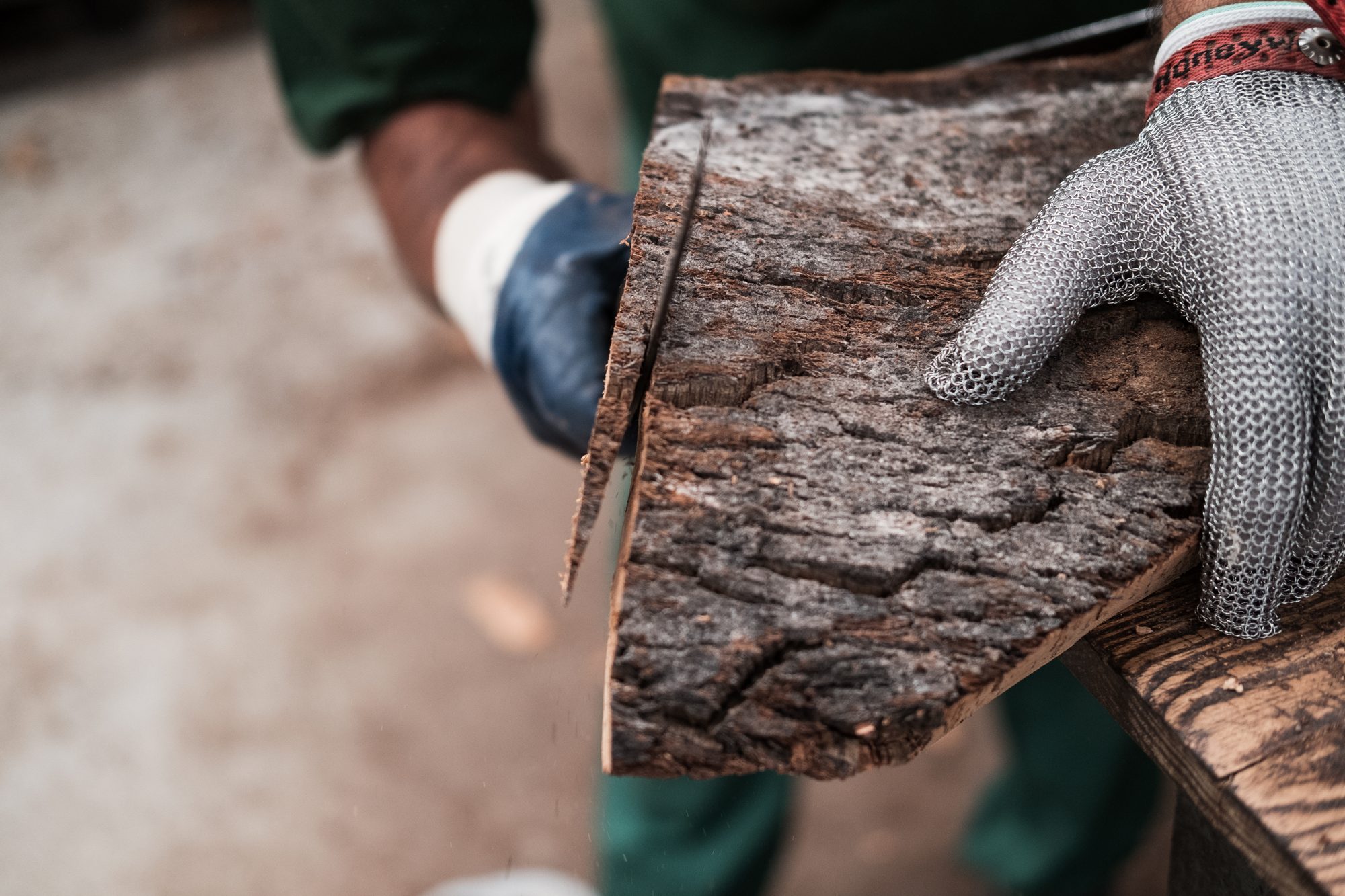 Hands holding a cork plank