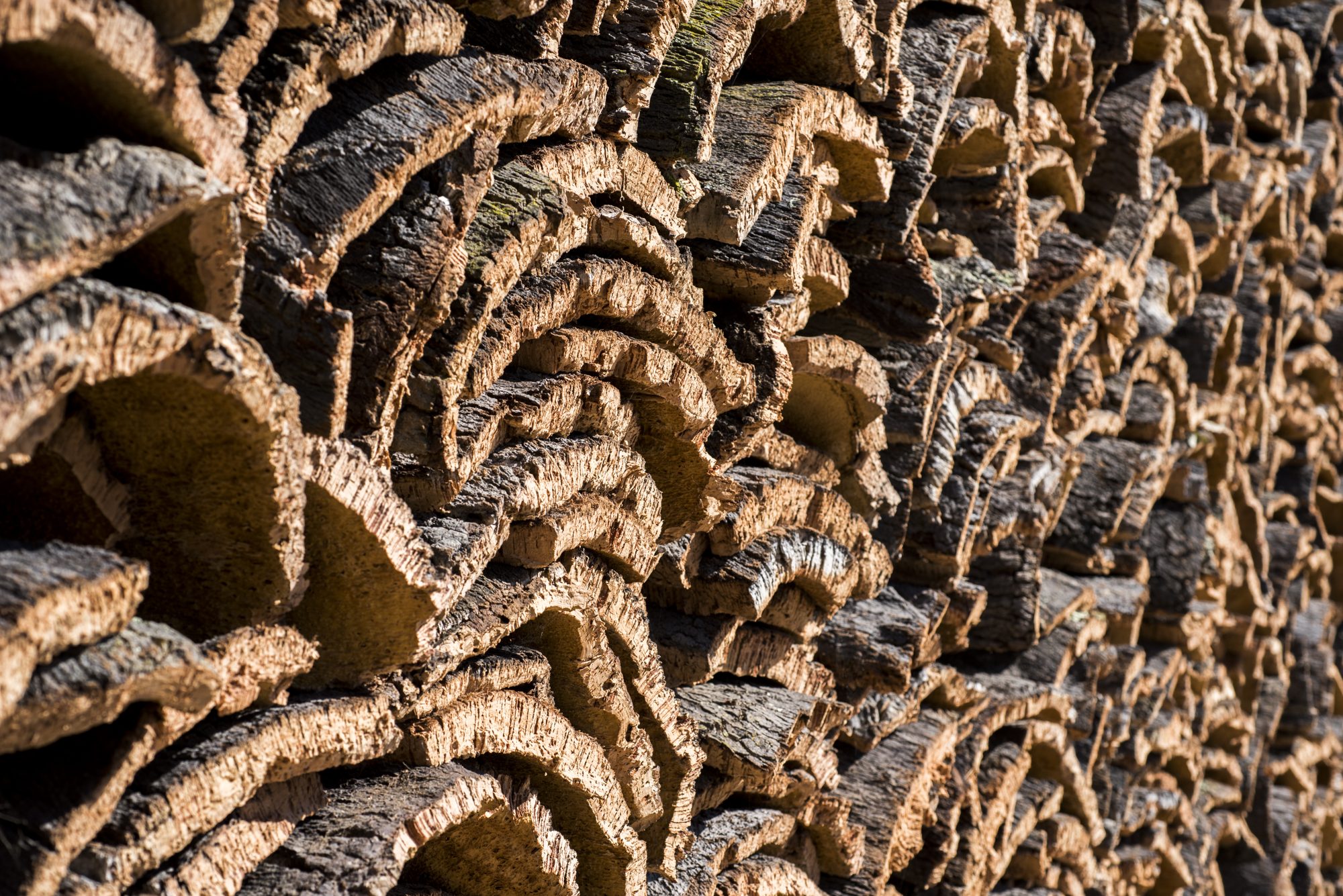 Cork planks