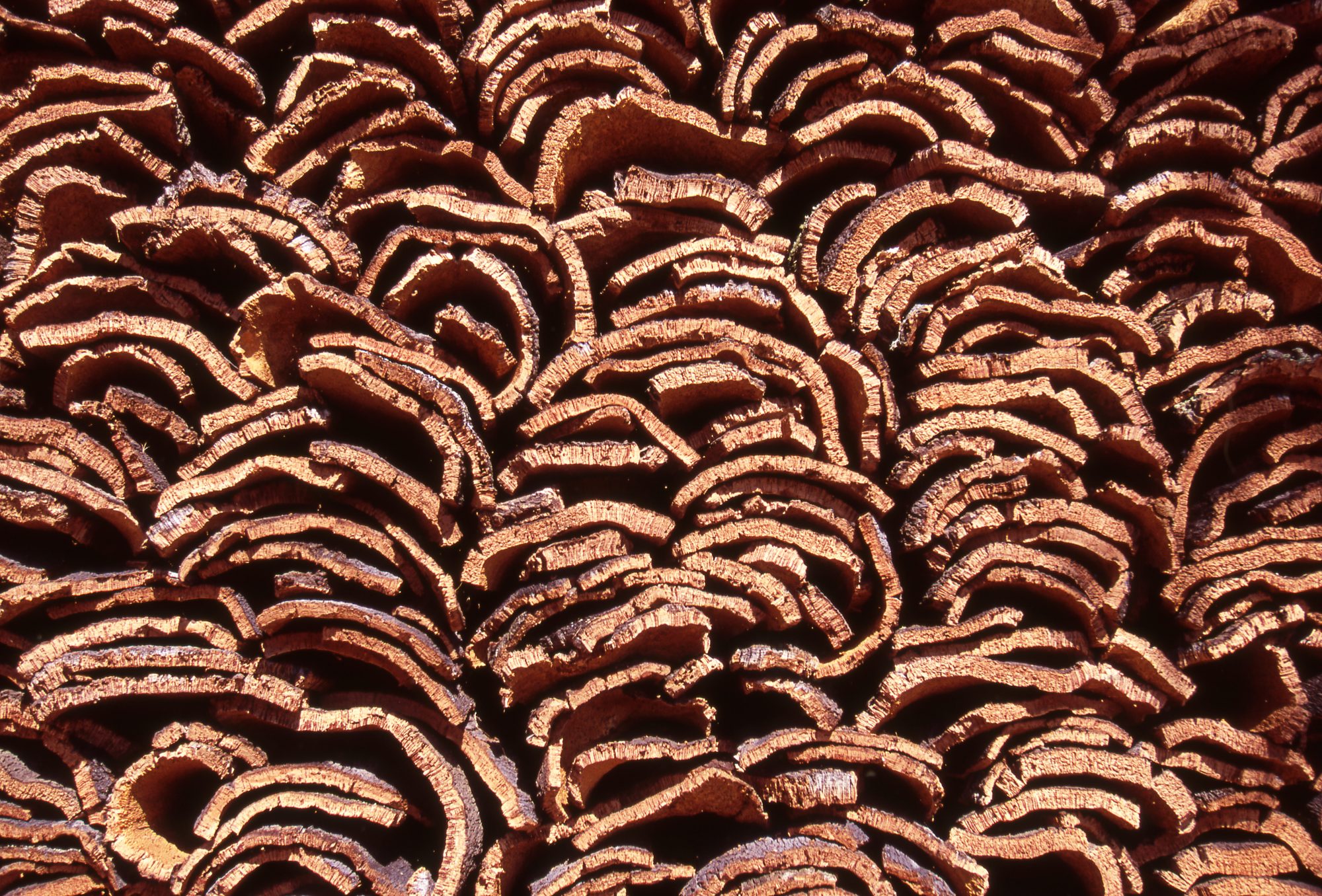 Stack of cork planks